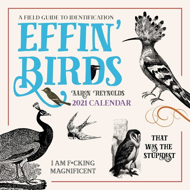 effin-birds-2021-wall-calendar-a-field-guide-to-identification-calendar-walmart