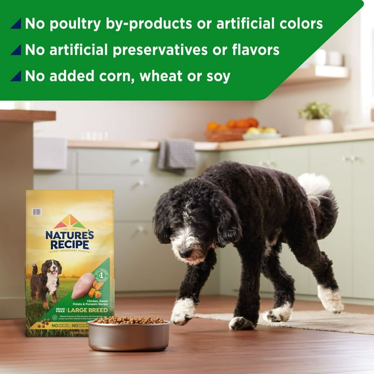 Nature s Recipe Large Breed Grain Free Chicken Sweet Potato Pumpkin Dry Dog Food 24 lb