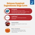 thumbnail image 4 of Zesty Paws Senior Advanced Vision Bites Chicken Flavor Dog Supplement, 90 Count, 4 of 12
