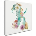thumbnail image 2 of Trademark Fine Art "Rainbow Seeds Monogram K" Canvas Art by Lisa Audit, 2 of 3