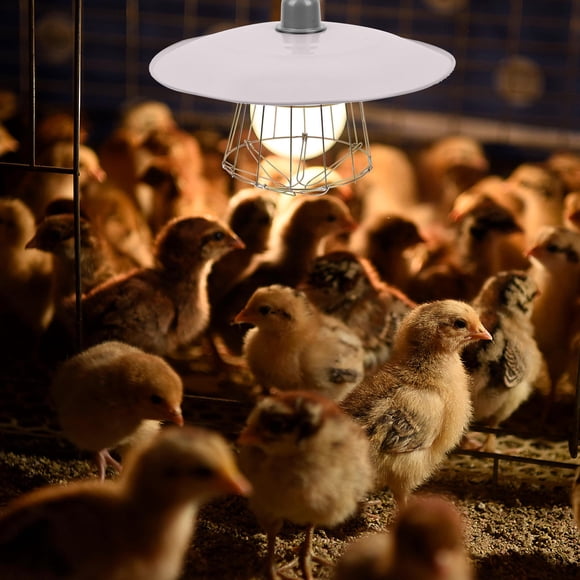OULII Livestock Warming Lamp White with Anti Scald Protection Safe Heating Tool for Home Use