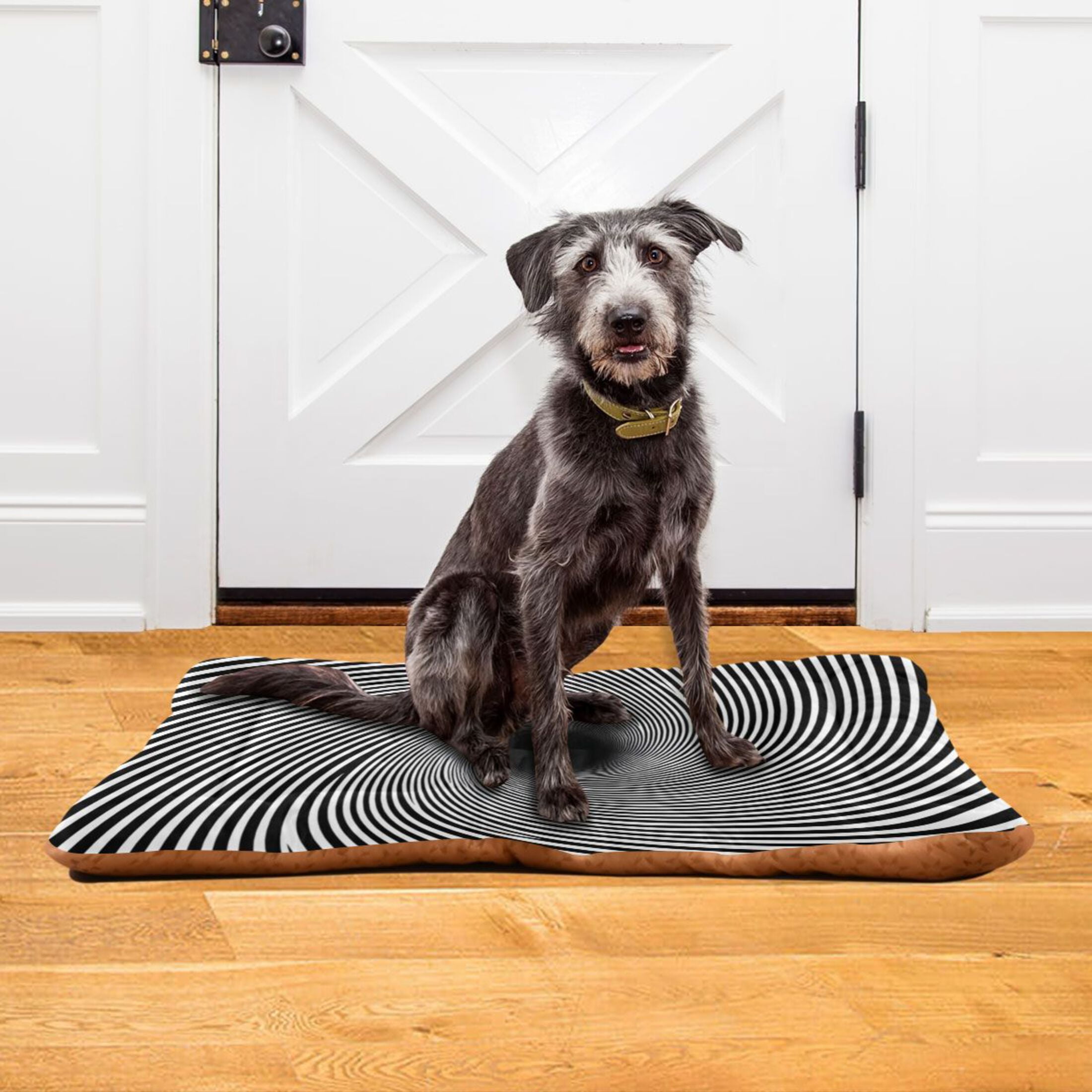 Cozy Mat Pet Bed Indoor Outdoor Warm Soft For Cat Dog Puppy(S/M) Spiral Lines