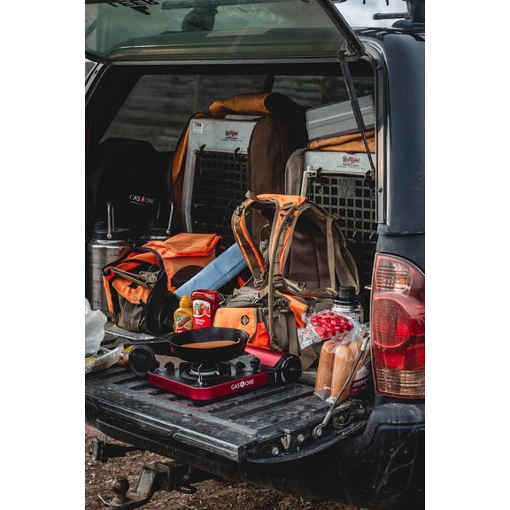 12,000 BTU Propane or Butane Stove GS-3100P Portable Dual  Camping Stove Burner - Patented - with Carrying Case - Metallic Finish