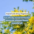 thumbnail image 5 of Love Beauty and Planet Coconut Water & Mimosa Flower Sulfate Free Volume and Bounty Shampoo - 200ml, 5 of 8