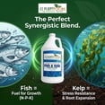 thumbnail image 2 of GS Plant Foods Omri Listed Fish & Kelp Fertilizer for Plants - Organic Fertilizer for Vegetables, Trees, Lawns, Shrubs, Flowers, Seeds & Plants - Hydrolyzed Fish and Seaweed Blend - 1 Quart (32 oz), 2 of 9