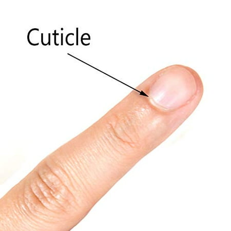Beaute Galleria Cuticle Pusher and Spoon Nail Cleaner Remove Excess Cuticle Residue for Fingernails and Toenails Stainless Steel Manicure Pedicure Tool | Walmart Canada