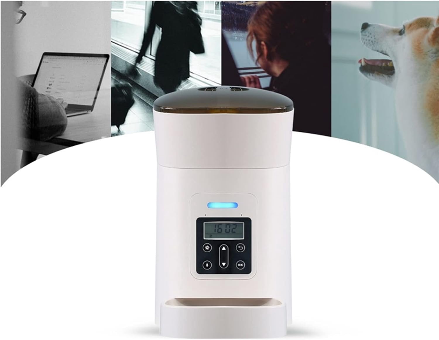 Pet Automatic Feeders Pet Feeder Pet Dispenser for Cat and Dog Travel Supply Automatic Smart Slow Feeder Dispenser Fixed Time Amount of Food