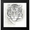 thumbnail image 2 of Popp, Grace 12x13 Black Modern Framed Museum Art Print Titled - Big Cat Study II, 2 of 5