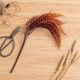 thumbnail image 5 of Artificial Fall Fern Stems, Faux Leaf Picks, Orange Rust Red Plastic Branches for Thanksgiving Floral Arrangement Vase Filler, 5 of 6
