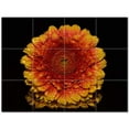 thumbnail image 1 of Flowers Ceramic Tile Mural Kitchen Backsplash Bathroom Shower 402519-XL43, 1 of 3