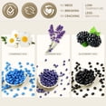 thumbnail image 2 of Lifestance Wax Beads 3 Packs Sampler Kit, Hard Wax Beads (Lavender, Chamomile, Blackberry) for Hair Removal Whole Body, Bikini, Underarm, Legs, 2 of 6