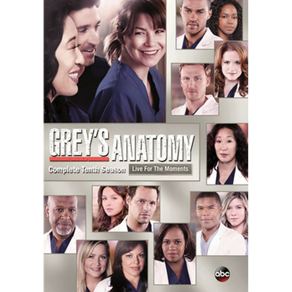 Grey's Anatomy Complete Tenth Season (DVD)