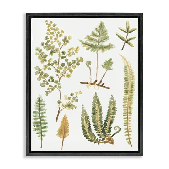 Stupell Industries Wild Forest Ferns Botanical & Floral Painting Black Floater Framed Art Print Wall Art, 17 x 21