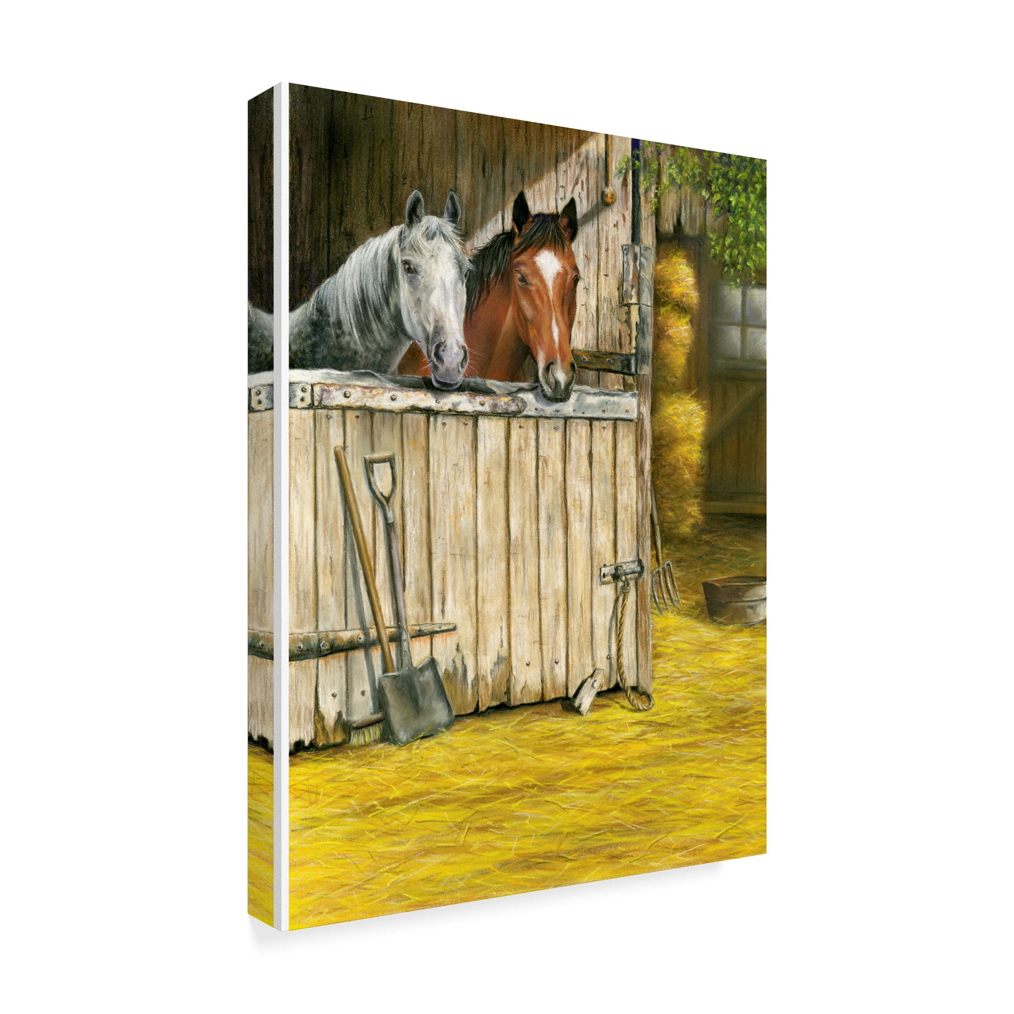 Trademark Fine Art 'Friends Horses' Canvas Art by Janet Pidoux