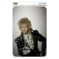 thumbnail image 1 of David Bowie As Jareth From The Labyrinth Home Business Office Sign, 1 of 4