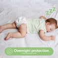 thumbnail image 3 of Bum Co.| Pañal desechable para bebé, Etapa 3, Mediano (6 a 10 kg), Unisex, Caja con 160 pz | Overnight Protection, Cloud Feel, Hipoalergénicos, Dri-Tech, 3 of 9