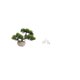 thumbnail image 5 of Colección De Bonsáis Artificiales Con Vegetación. Planta Artificial En Maceta Para Centros De Mesa. Esculturas De Elefantes. Adornos únicos Para Decoración De Mesa. Estatuas De Animales, 5 of 8