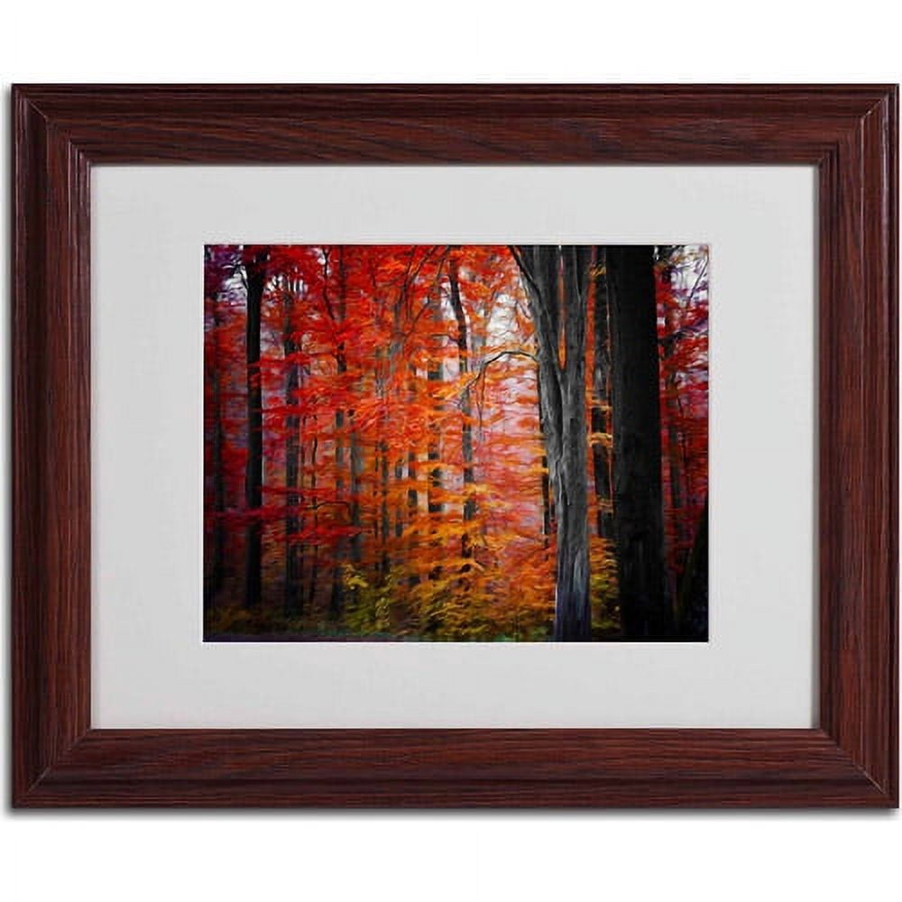 Trademark Fine Art "No Title" Canvas Art by Philippe Sainte-Laudy, Wood Frame
