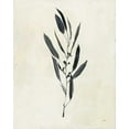 thumbnail image 2 of Purinton, Julia 20x24 White Modern Wood Framed Museum Art Print Titled - Botanical Study I, 2 of 4