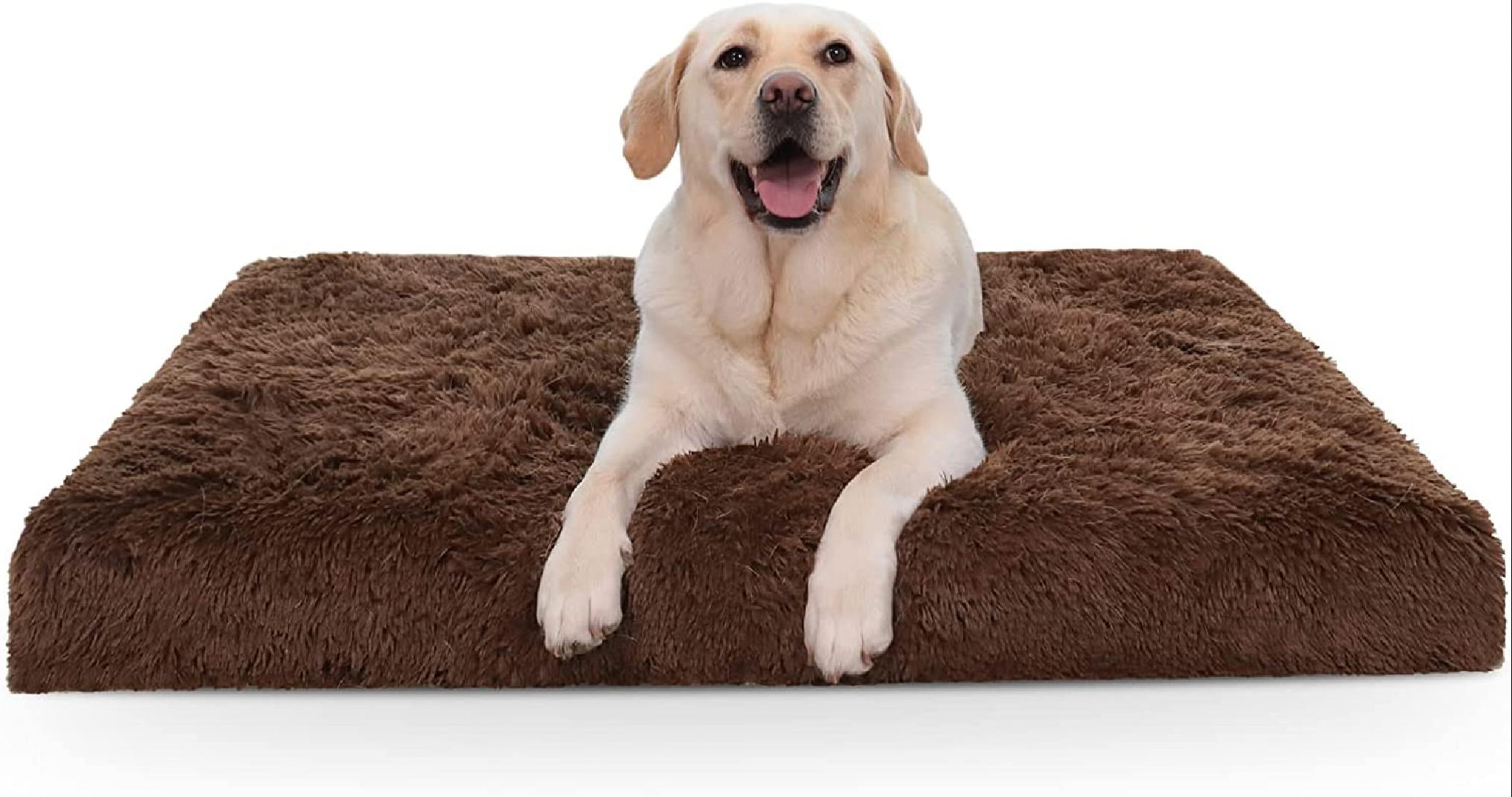 How Do You Clean A Foam Dog Bed