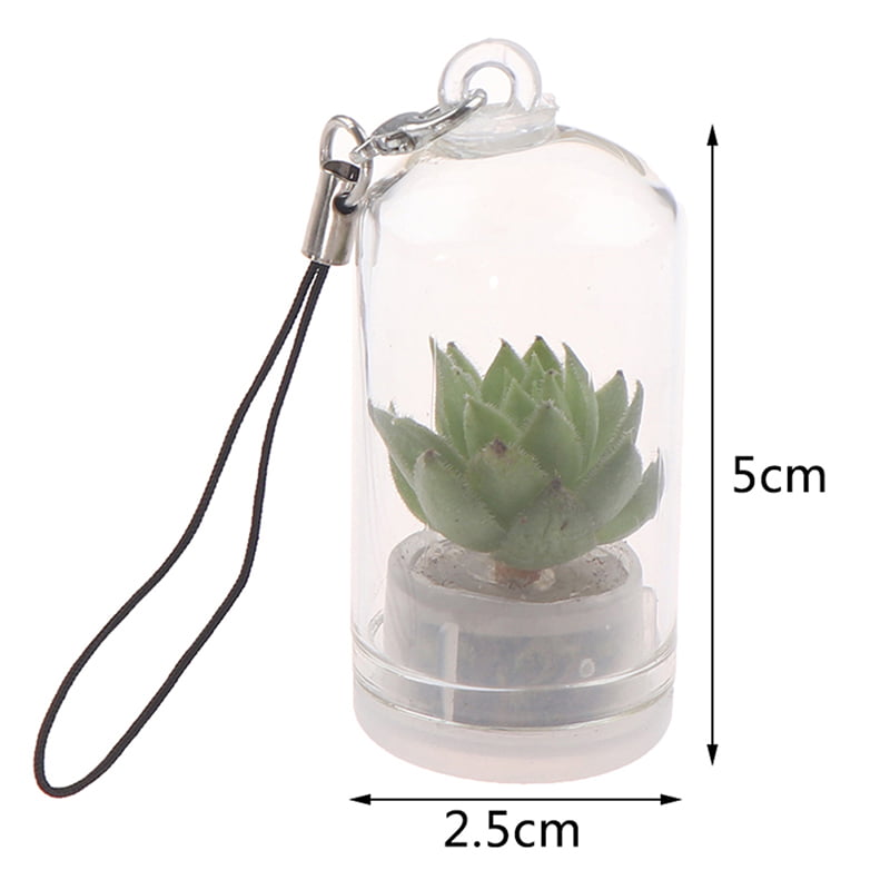Cactus Miniature Succulent Cacti Terrarium Wearable Necklace Live Plant 2.5**wf