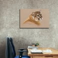thumbnail image 3 of Epic Graffiti 'Cougar' by Barbara Keith, Canvas Wall Art, 40"x26", 3 of 8