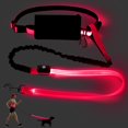 thumbnail image 1 of Vizbrite Laisse pour Chien Mains Libres à LED, Laisse de Taille pour Promenade, Laisse Lumineuse Rétractable, Laisse Réfléchissante pour Course Jogging, Entraînement, Randonnée, 1 of 7