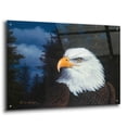 thumbnail image 2 of Epic Art 'The Face Of Freedom' by R. Hed, Acrylic Glass Wall Art, 36"x24", 2 of 8