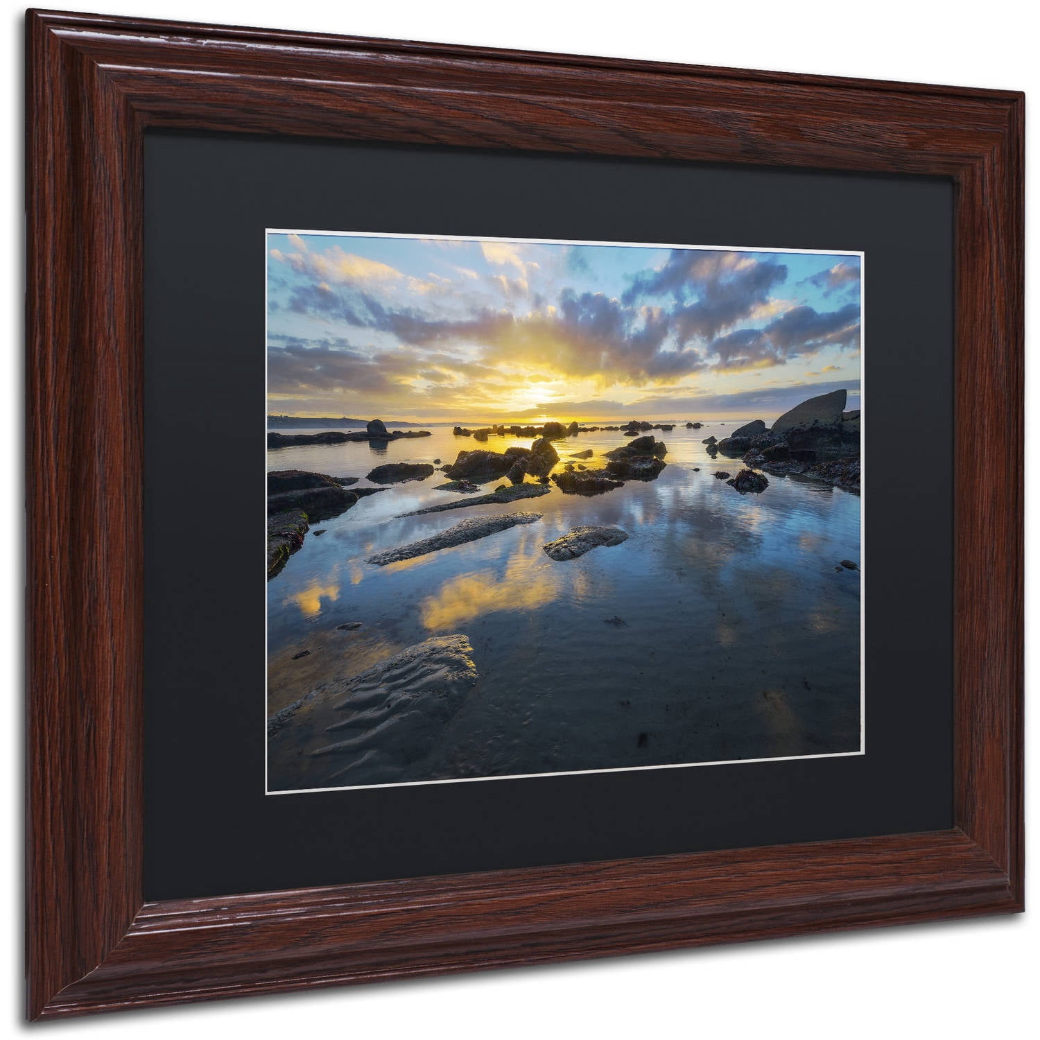 Trademark Fine Art "Nature's Gift" Canvas Art by Mathieu Rivrin, Black Matte, Wood Frame