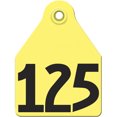 thumbnail image 1 of Agritags AgriLabs Maxi Numbered AgriTags 101-125 Yellow, 1 Count, 1 of 1
