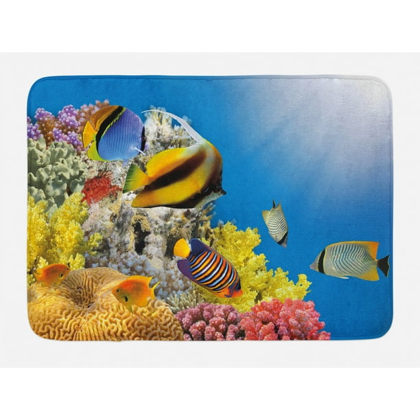 Ocean Bath Mat, Coral Colony on a Reef Top in Red Sea Egypt Exotic ...
