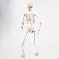 thumbnail image 4 of Esqueleto de Halloween SCZ Simulación Humano 70 cm Decoración, 4 of 5