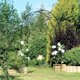 thumbnail image 5 of Outdoor Flower Garden Arch Trellis 7.8Ft High x 4.6Ft Metal Wide, Garden Pergola Arbor for Climbing Plants, Black, 5 of 5