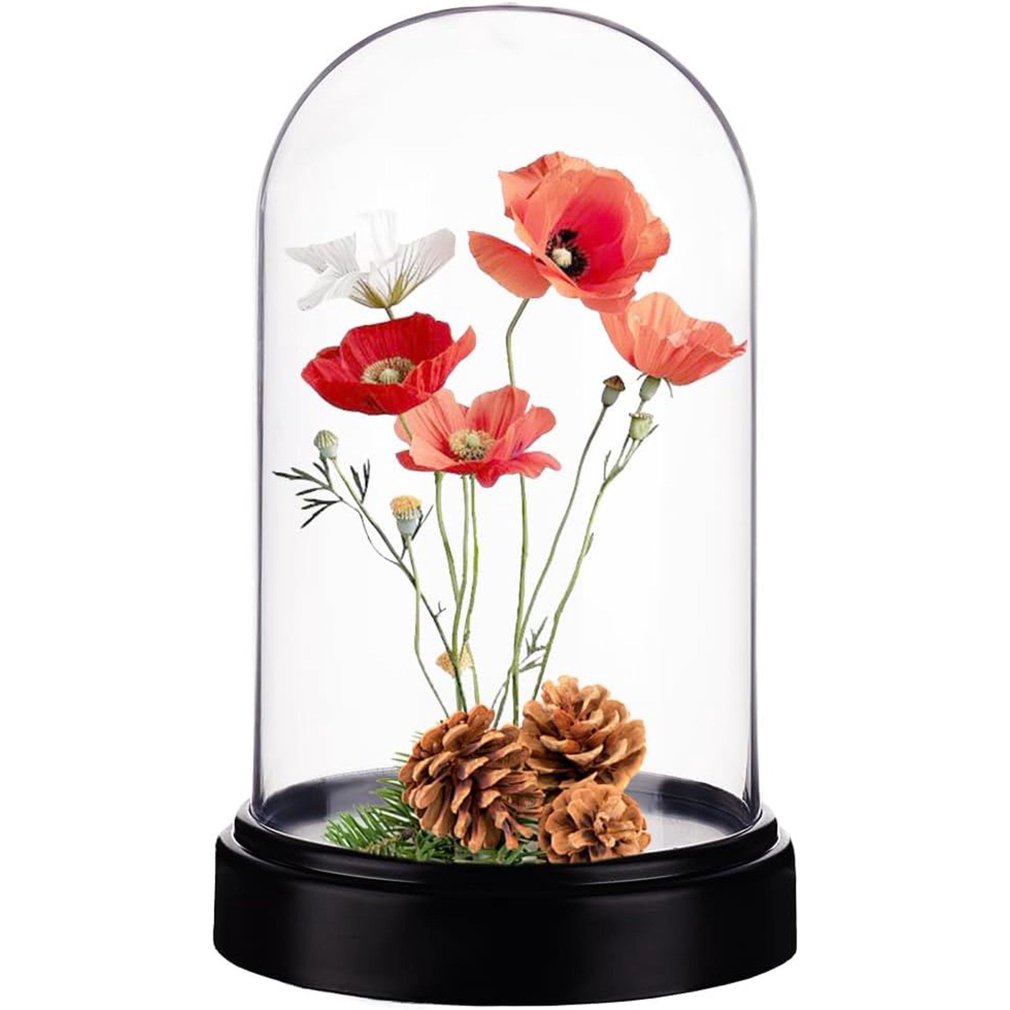 Acrylic Display Dome Case Cloche Globe 11.6 x 18.5cm Black Base Dome Bell Jar Display Case for Figures Flowers Plants Bouquets Photos Tabletop Wedding Decorations for DIY