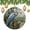 pattern-1501, variant on Christmas Ornaments Heron Bird Wildlife Personalized Christmas Ornament Christmas Tree Decoration Gifts for Women Men Blue Heron Is Sitting In The Grass Christmas Tree Ornament