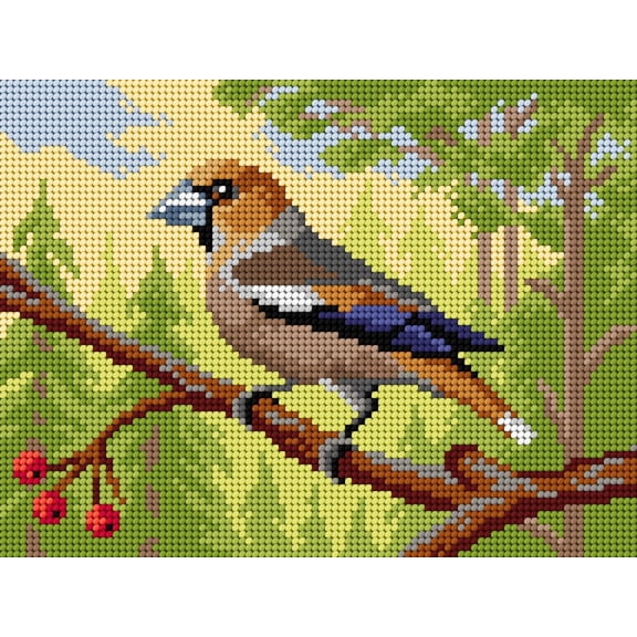 Gobelin canvas for halfstitch without yarn Hawfinch 3498F