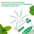 Holy Rose Mint Twin MMF7 Line Dental Floss Picks 300 Count Pack, Dual