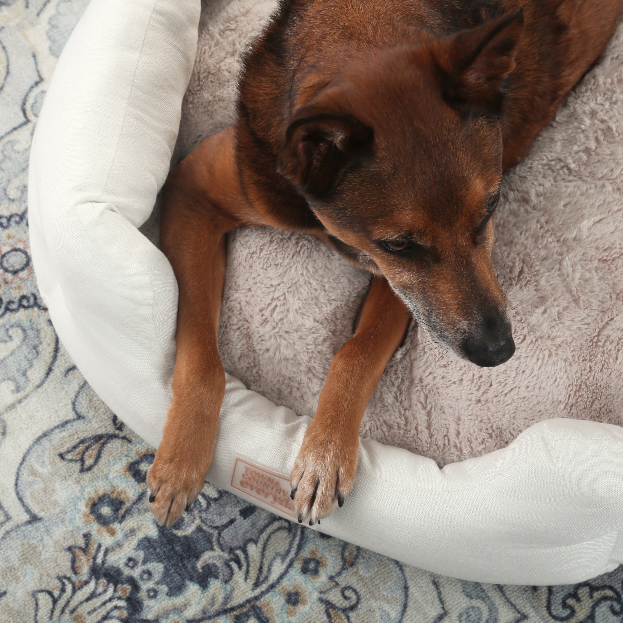 TOWN & COUNTRY EVERYDAY CuddleTown Faux Linen Comfy Cozy Cuddler Pet Bed, Supportive & Calming, Water Repellent, Non-Slip Bottom, Machine Washable Cover, Cream, XS 20"x14"x6"