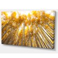thumbnail image 2 of Arbre de Bambou d'Automne en Jaune, 2 of 3