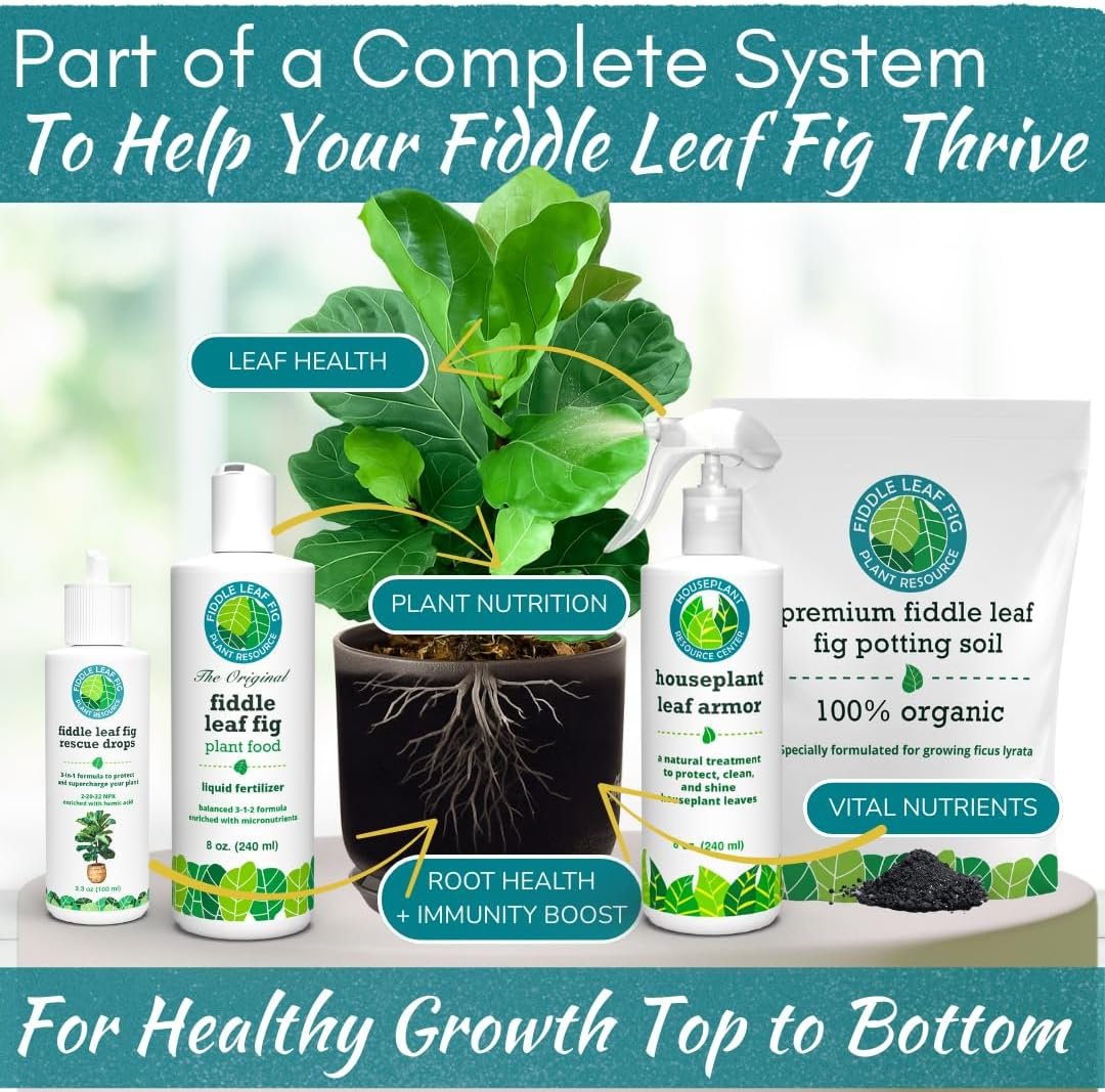 Fiddle Leaf Fig Potting Soil Mix by Fiddle Leaf Fig Plant Resource  Premium Organic Soil with Enhanced Drainage for Fast Growth and Healthy Roots Large Bag