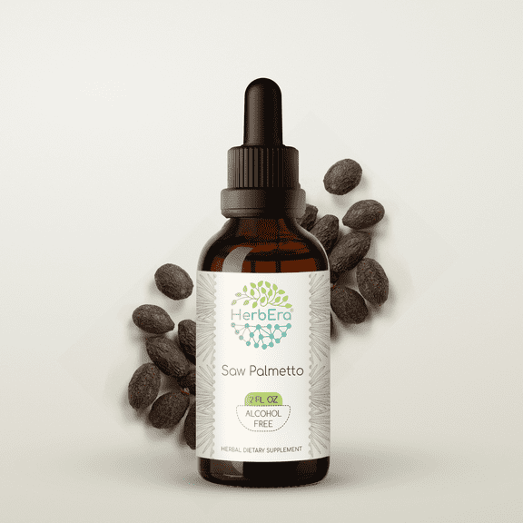 HerbEra Saw Palmetto Tincture, Herbal Dietary Supplement for Urinary Tract Support, Saw Palmetto (Serenoa repens) Dried Berry Extract, Natural, Alcohol-Free, Drops 2 oz
