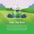thumbnail image 5 of Natures Craft Blood Builder Iron Gummies & Vitamin C Supplement for Kids, 60 Gummies, 5 of 10