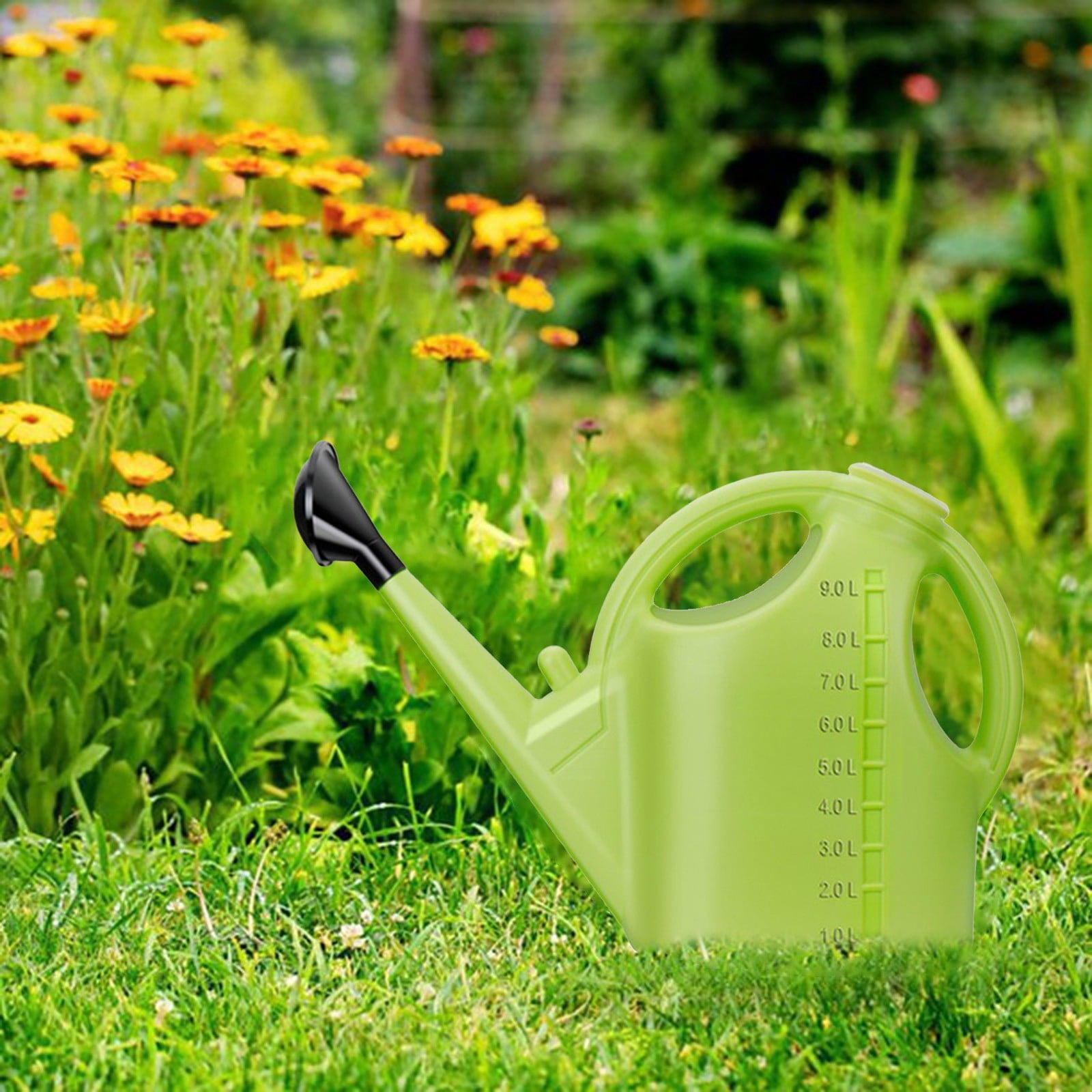2.38 Gal Large Capacity Plastic Watering Can with Long Spout Removable Rose Head Ergonomic Handle for Indoor Outdoor Garden Plants Flowers Seedlings