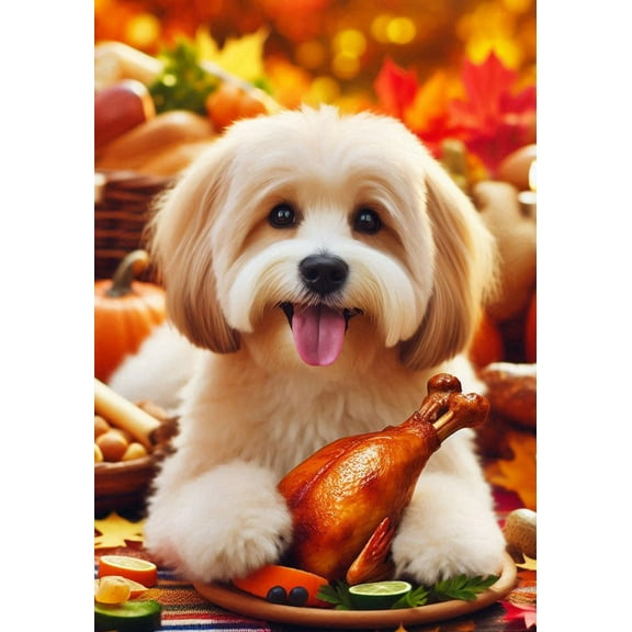 Havanese Cream -  Best of Breed DCR Thanksgiving Garden Flag