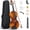 varnish, variant on TerraOutfit 4/4 Violin Solid Wood, Full Size Acoustic Fiddle Set (Matte)