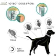 thumbnail image 3 of Paquete de 2 collares antipulgas Scalibor Msd para perros grandes/65 cm, 3 of 5