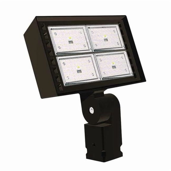 Exo General Purpose Floodlight,15000 lm,LED RFL4-120-4K-T