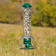 thumbnail image 6 of Perky-Pet Green Squirrel Slammer Wild Bird Tube Feeder - 3.5 lb, 6 of 9