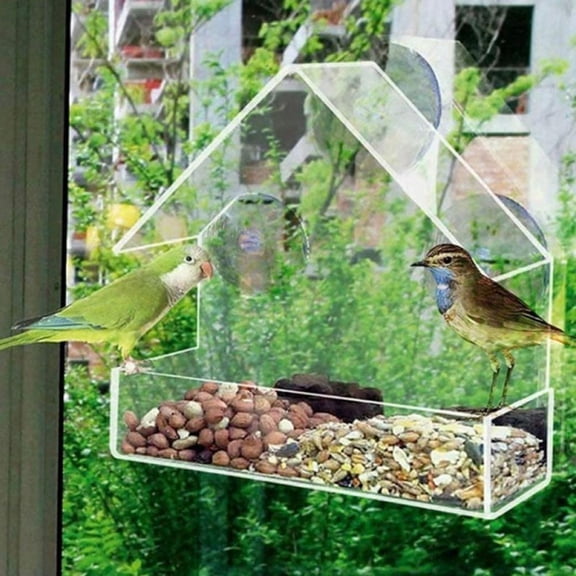 Window Feeder - Large Bird House Outside Removable Sliding Tray With Drain Hole. Best For Wild Birds Transparent Acrylic. Easy To Clean Great Gift All-weather