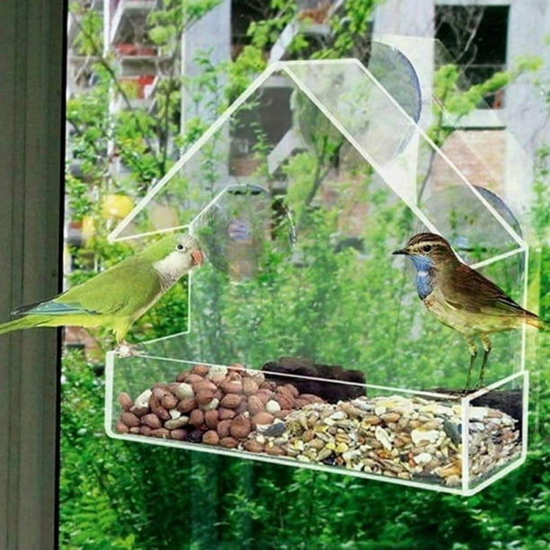 Peggybuy Mangeoire à oiseaux en plastique pour fenêtre, transparente,  ventouse, nichoir en forme de maison 